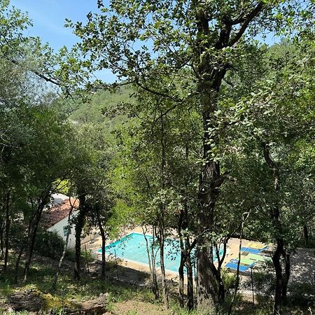 Montauriol  Maison Avec Piscine Chauffee Entre Mer Et Montagne מראה חיצוני תמונה