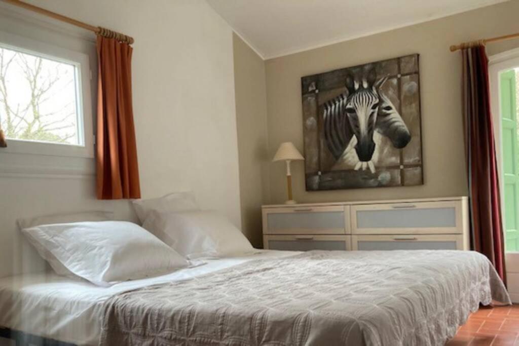 Montauriol  Maison Avec Piscine Chauffee Entre Mer Et Montagne מראה חיצוני תמונה