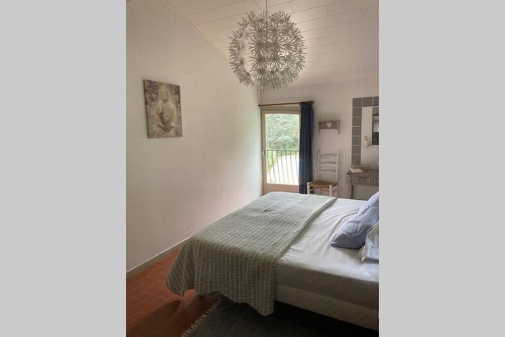 Montauriol  Maison Avec Piscine Chauffee Entre Mer Et Montagne מראה חיצוני תמונה