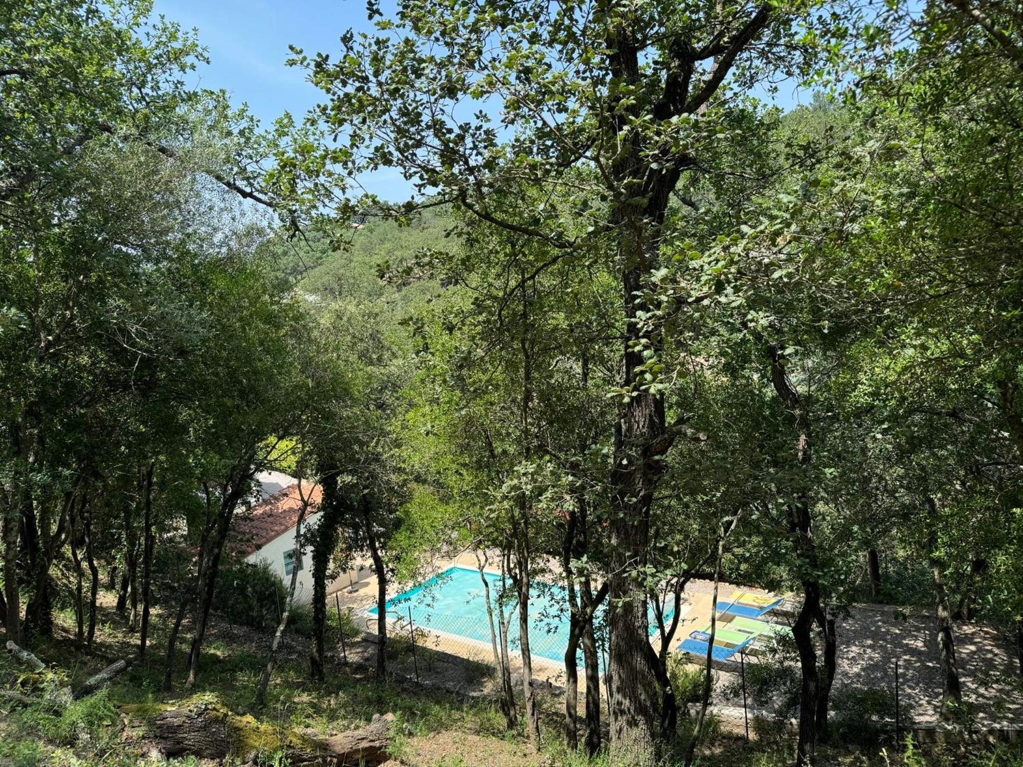 Montauriol  Maison Avec Piscine Chauffee Entre Mer Et Montagne מראה חיצוני תמונה